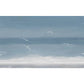 Tropical Gull Printed Mural Wallpaper Grey and Blue Sea Wall Covering for Accent Wall Clearhalo 'Wall Decor' 'Wall Mural' 1203750