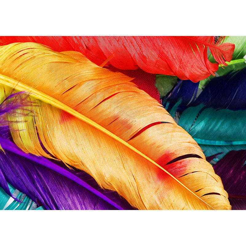 Illustration Feather Murals Extra Large Wall Covering for Home, Personalised Size Clearhalo 'Wall Decor' 'Wall Mural' 1211452