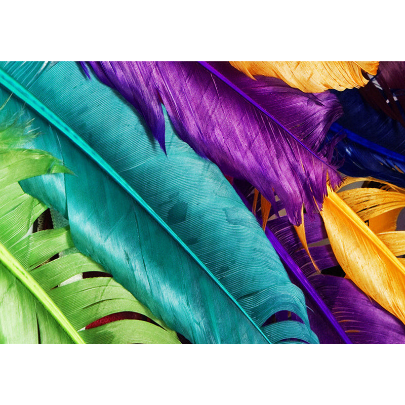 Illustration Feather Murals Extra Large Wall Covering for Home, Personalised Size Clearhalo 'Wall Decor' 'Wall Mural' 1211462