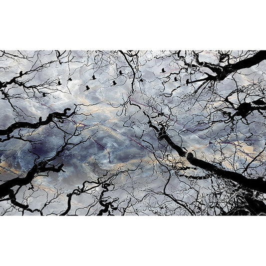 Sky and Withered Tree Murals Black-Blue Contemporary Wall Covering for Living Room Clearhalo 'Wall Decor' 'Wall Mural' 1213230