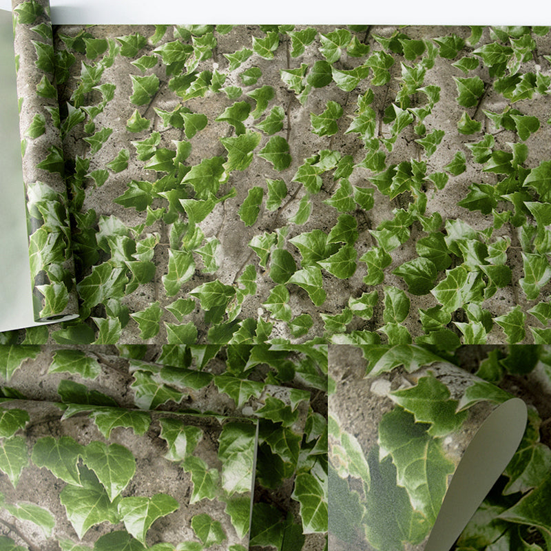 Creeper Plant Wallpaper Roll Countryside Smooth Wall Decor in Dark Color, Waterproof Light Green Clearhalo 'Industrial wall decor' 'Industrial' 'Wallpaper' Wall Decor' 1225398