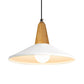 One Head Suspension Light Nordic Stylish Aluminum & Wood Pendant Light for Study Room White 14" Clearhalo 'Ceiling Lights' 'Modern Pendants' 'Modern' 'Pendant Lights' 'Pendants' Lighting' 126096