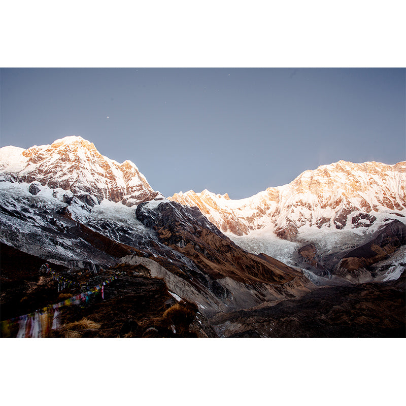 Snow Mountain Looking-Up Mural in Blue-Brown Modern Style Wall Covering for Accent Wall Clearhalo 'Wall Decor' 'Wall Mural' 1394949