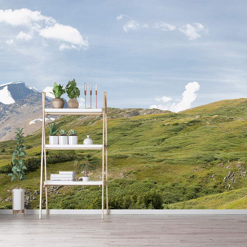 Spring Melting Mountain Murals Modern Stain Resistant Living Room Wall Covering, Size Optional Clearhalo 'Wall Decor' 'Wall Mural' 1395180