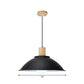 Metal Bowl Shade Hanging Light Modern Style 1 Light Dining Room Pendant Lamp in Black Clearhalo 'Art Deco Pendants' 'Black' 'Cast Iron' 'Ceiling Lights' 'Ceramic' 'Crystal' 'Industrial Pendants' 'Industrial' 'Metal' 'Middle Century Pendants' 'Pendant Lights' 'Pendants' 'Rustic Pendants' 'Tiffany' Lighting' 1401122