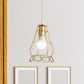 Gold Wire Cage Pendant Light 1 Head Retro Industrial Iron Hanging Lamp with Shade for Coffee Shop Clearhalo 'Ceiling Lights' 'Modern Pendants' 'Modern' 'Pendant Lights' 'Pendants' Lighting' 1401219