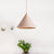 10"/12.5" Diameter 1 Light Conical Hanging Lamp Nordic Stylish Black/Blue Metal Pendant Light over Table Pink Clearhalo 'Ceiling Lights' 'Modern Pendants' 'Modern' 'Pendant Lights' 'Pendants' Lighting' 1416861