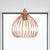 Gourd Single Pendant Light with Wire Guard 1 Light Industrial Hanging Ceiling Light in Rose Gold Rose Gold Clearhalo 'Art Deco Pendants' 'Cast Iron' 'Ceiling Lights' 'Ceramic' 'Crystal' 'Industrial Pendants' 'Industrial' 'Metal' 'Middle Century Pendants' 'Pendant Lights' 'Pendants' 'Tiffany' Lighting' 1417348