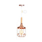 Rose Gold Drum Ceiling Pendant with Metal Cage 1 Light Modern Hanging Light for Corridor Clearhalo 'Art Deco Pendants' 'Cast Iron' 'Ceiling Lights' 'Ceramic' 'Crystal' 'Industrial Pendants' 'Industrial' 'Metal' 'Middle Century Pendants' 'Pendant Lights' 'Pendants' 'Tiffany' Lighting' 1417371