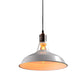 Vintage Style Barn Hanging Pendant Light 1 Bulb Metallic Suspension Light in Black/White, 10.5/12/15 Inch Width Clearhalo 'Art Deco Pendants' 'Black' 'Cast Iron' 'Ceiling Lights' 'Ceramic' 'Crystal' 'Industrial Pendants' 'Industrial' 'Metal' 'Middle Century Pendants' 'Pendant Lights' 'Pendants' 'Rustic Pendants' 'Tiffany' Lighting' 1418105