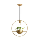 Gold Circular Hanging Light Fixture Factory Iron 1-Head Dining Room Plant Pendant Lighting Clearhalo 'Art Deco Pendants' 'Cast Iron' 'Ceiling Lights' 'Ceramic' 'Crystal' 'Industrial Pendants' 'Industrial' 'Metal' 'Middle Century Pendants' 'Pendant Lights' 'Pendants' 'Tiffany' Lighting' 1458151