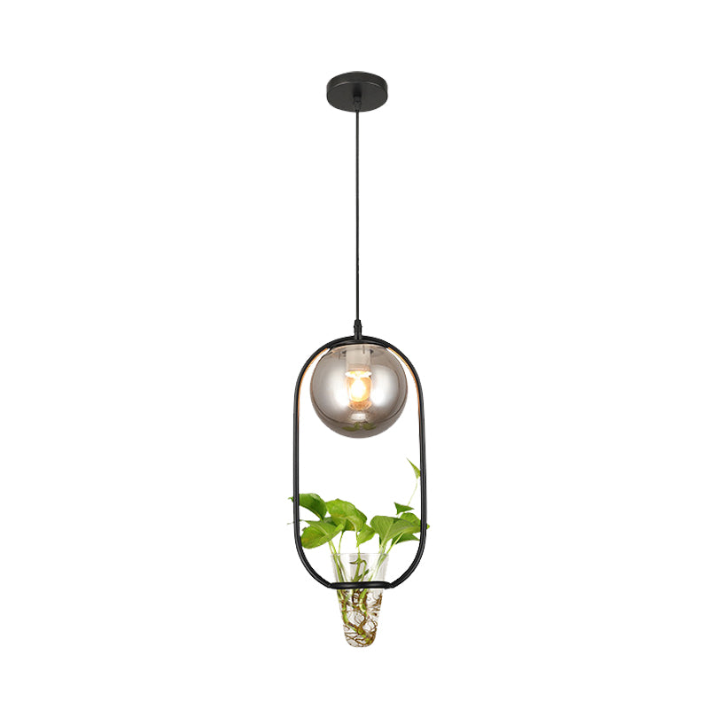 Industrial Global Hanging Ceiling Light 1 Bulb Smoke Gray Glass Pendant Lamp in Black/Grey/Gold with Oval Cage and Plant Cup Clearhalo 'Art Deco Pendants' 'Black' 'Cast Iron' 'Ceiling Lights' 'Ceramic' 'Crystal' 'Industrial Pendants' 'Industrial' 'Metal' 'Middle Century Pendants' 'Pendant Lights' 'Pendants' 'Rustic Pendants' 'Tiffany' Lighting' 1459821
