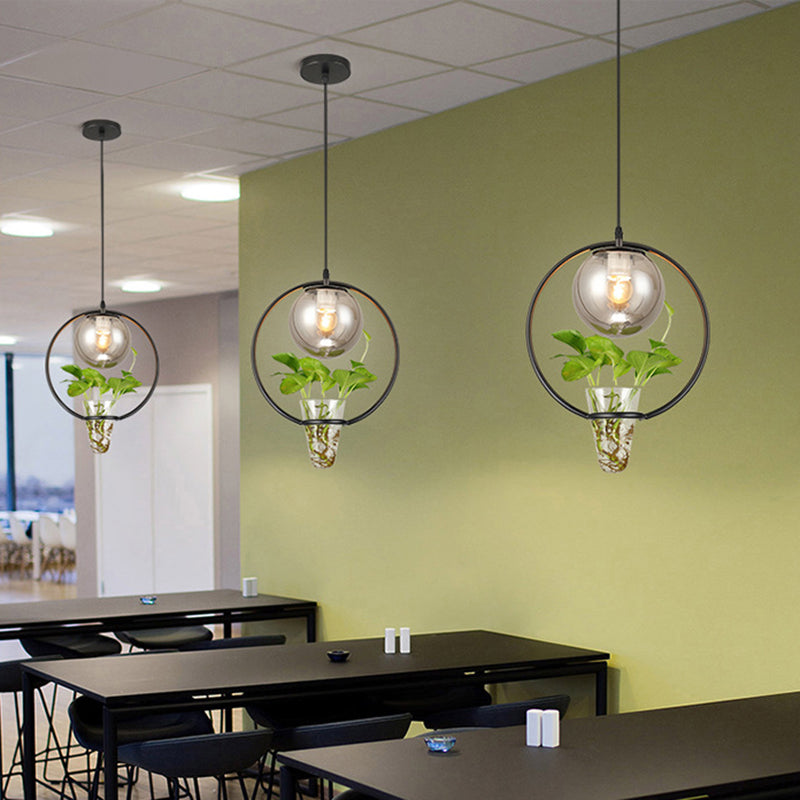 Ball Smoke Gray Glass Ceiling Light Warehouse 1 Light Restaurant Pendant in Black/Grey/Gold with Iron Ring and Plant Cup Clearhalo 'Art Deco Pendants' 'Black' 'Cast Iron' 'Ceiling Lights' 'Ceramic' 'Crystal' 'Industrial Pendants' 'Industrial' 'Metal' 'Middle Century Pendants' 'Pendant Lights' 'Pendants' 'Rustic Pendants' 'Tiffany' Lighting' 1459843