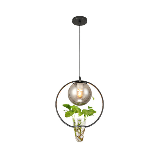 Ball Smoke Gray Glass Ceiling Light Warehouse 1 Light Restaurant Pendant in Black/Grey/Gold with Iron Ring and Plant Cup Clearhalo 'Art Deco Pendants' 'Black' 'Cast Iron' 'Ceiling Lights' 'Ceramic' 'Crystal' 'Industrial Pendants' 'Industrial' 'Metal' 'Middle Century Pendants' 'Pendant Lights' 'Pendants' 'Rustic Pendants' 'Tiffany' Lighting' 1459844