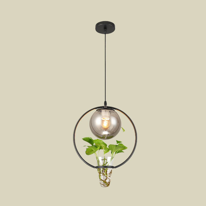 Ball Smoke Gray Glass Ceiling Light Warehouse 1 Light Restaurant Pendant in Black/Grey/Gold with Iron Ring and Plant Cup Clearhalo 'Art Deco Pendants' 'Black' 'Cast Iron' 'Ceiling Lights' 'Ceramic' 'Crystal' 'Industrial Pendants' 'Industrial' 'Metal' 'Middle Century Pendants' 'Pendant Lights' 'Pendants' 'Rustic Pendants' 'Tiffany' Lighting' 1459845
