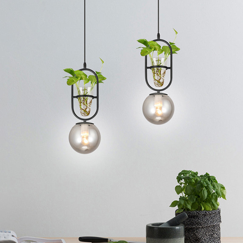 1-Head Hanging Light Loft Spherical Opal/Smoke Gray Glass Ceiling Lamp in Black/Grey/Gold with Oblong Frame and Plant Cup Clearhalo 'Art Deco Pendants' 'Black' 'Cast Iron' 'Ceiling Lights' 'Ceramic' 'Crystal' 'Industrial Pendants' 'Industrial' 'Metal' 'Middle Century Pendants' 'Pendant Lights' 'Pendants' 'Rustic Pendants' 'Tiffany' Lighting' 1459865