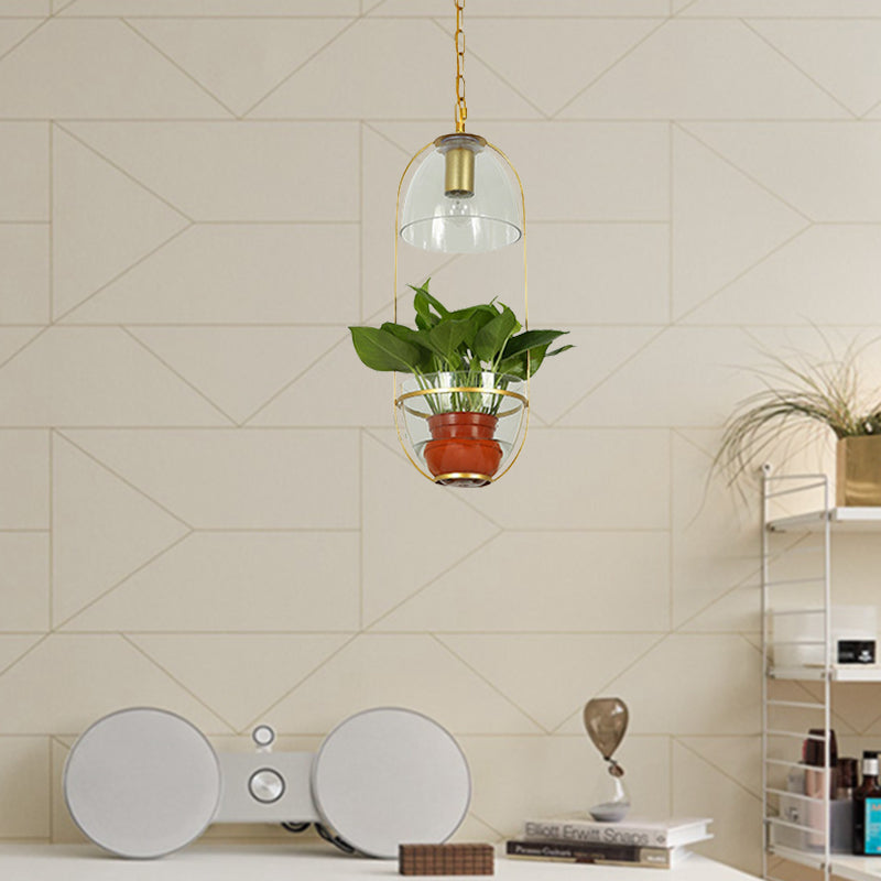 White/Gold 1 Light Drop Lamp Farmhouse Clear Glass Bowl Shaped Pendant Lighting Fixture with Oval Cage Clearhalo 'Art Deco Pendants' 'Cast Iron' 'Ceiling Lights' 'Ceramic' 'Crystal' 'Industrial Pendants' 'Industrial' 'Metal' 'Middle Century Pendants' 'Pendant Lights' 'Pendants' 'Tiffany' Lighting' 1460714