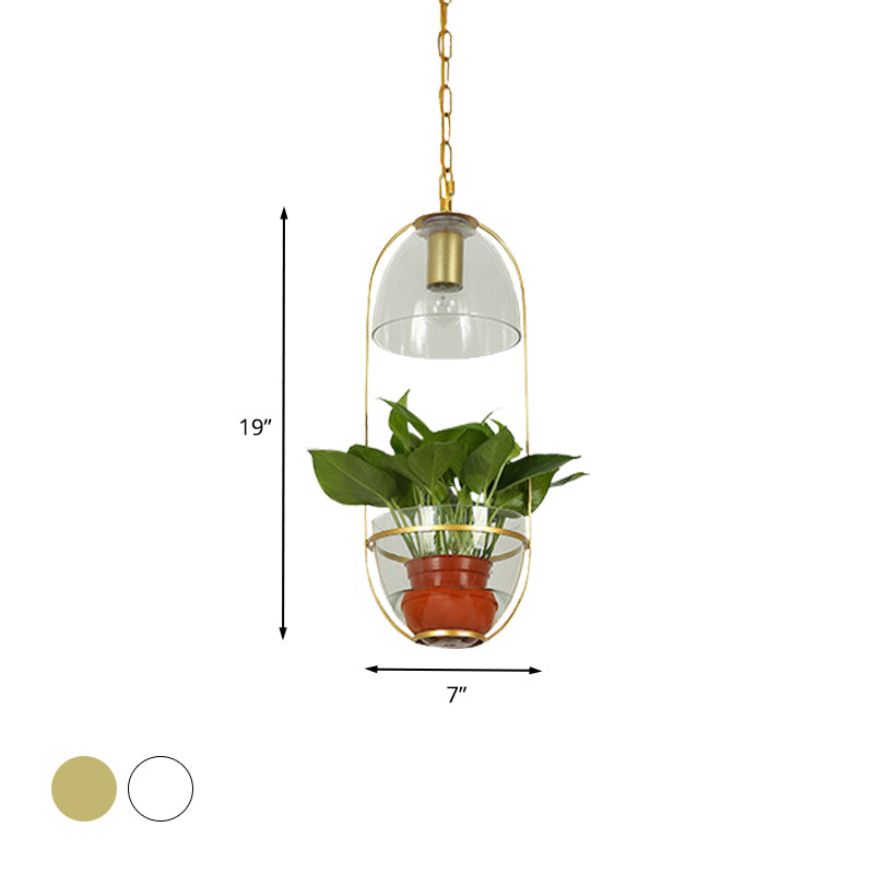White/Gold 1 Light Drop Lamp Farmhouse Clear Glass Bowl Shaped Pendant Lighting Fixture with Oval Cage Clearhalo 'Art Deco Pendants' 'Cast Iron' 'Ceiling Lights' 'Ceramic' 'Crystal' 'Industrial Pendants' 'Industrial' 'Metal' 'Middle Century Pendants' 'Pendant Lights' 'Pendants' 'Tiffany' Lighting' 1460717