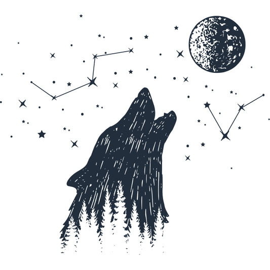 Contemporary Sirius Mural Wallpaper Black-White Constellation Wall Art for Bedroom Clearhalo 'Wall Decor' 'Wall Mural' 1468540