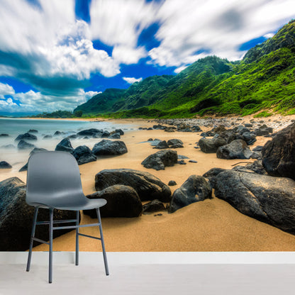 Photography Seashore Rocks Mural Decal Whole Wall Covering for Bedroom, Made to Measure Yellow-Green Clearhalo 'Wall Decor' 'Wall Mural' 1468802