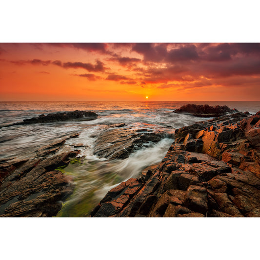 Yellow Eventide Scenery Wall Mural Ocean Rock Tropix Stain Proof Wall Art for Home Clearhalo 'Wall Decor' 'Wall Mural' 1468810