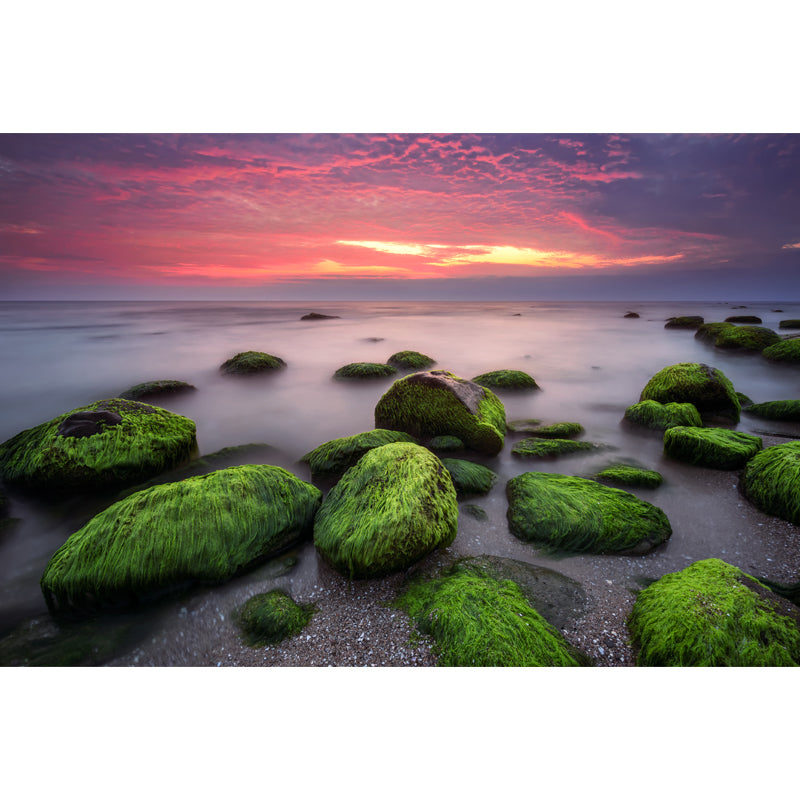 Moss Rocks in Sea Mural Wallpaper in Blue-Green Tropical Wall Decor for Living Room Clearhalo 'Wall Decor' 'Wall Mural' 1468895