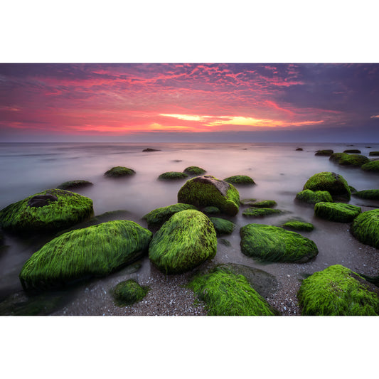 Moss Rocks in Sea Mural Wallpaper in Blue-Green Tropical Wall Decor for Living Room Clearhalo 'Wall Decor' 'Wall Mural' 1468895