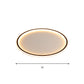Ultrathin Disc Flush Mount Lighting Simple Acrylic Living Room 16"/19.5"/23.5" Width LED Flushmount Ceiling Lamp in Black Clearhalo 'Ceiling Lights' 'Close To Ceiling Lights' 'Close to ceiling' 'Flush mount' Lighting' 1473548