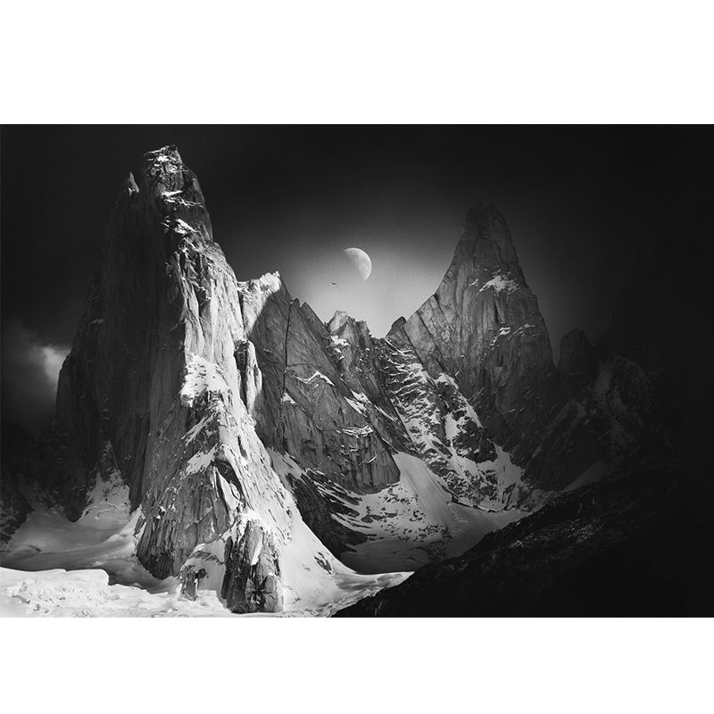 Moon Above Snow Mountain Mural Black-Grey-White Contemporary Wall Art for Living Room Clearhalo 'Wall Decor' 'Wall Mural' 1501587