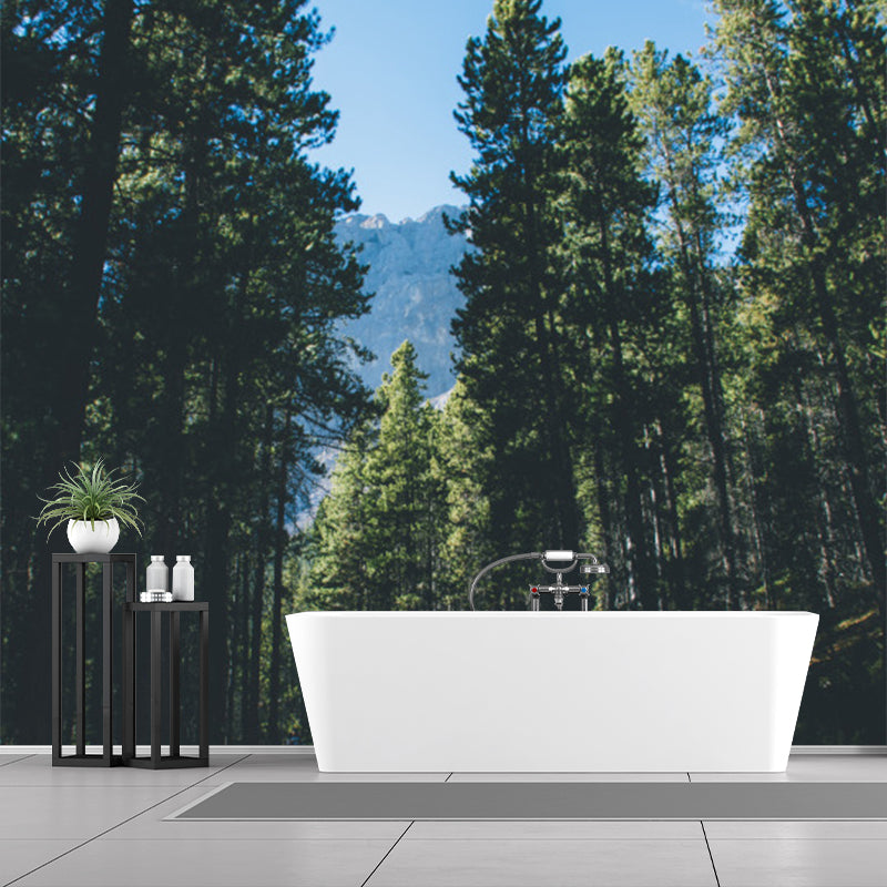 Green Roadside Pine Trees Mural Wallpaper Stain Resistant Wall Covering for Bedroom Clearhalo 'Wall Decor' 'Wall Mural' 1501640