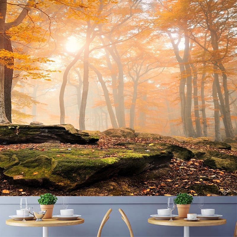 Modern Style Fall Scenery Mural Orange Morning Sunshine Shines Through Forest Wall Art Clearhalo 'Wall Decor' 'Wall Mural' 1501695