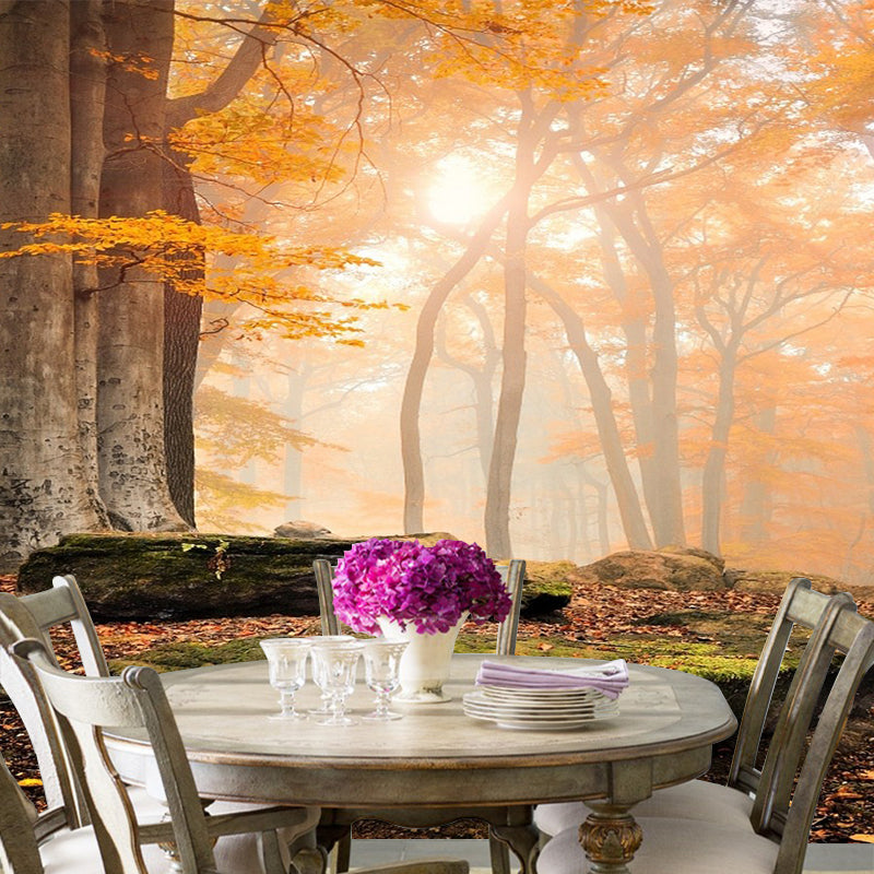 Modern Style Fall Scenery Mural Orange Morning Sunshine Shines Through Forest Wall Art Clearhalo 'Wall Decor' 'Wall Mural' 1501696