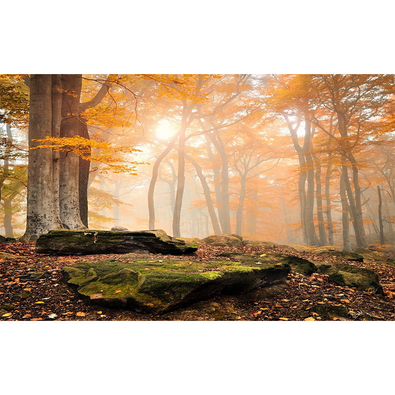 Modern Style Fall Scenery Mural Orange Morning Sunshine Shines Through Forest Wall Art Clearhalo 'Wall Decor' 'Wall Mural' 1501697