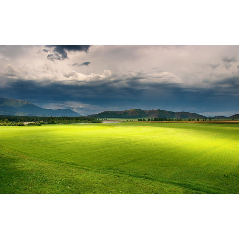 Non-Woven Waterproof Mural Modern Meadow with Moving Cloud Scenery Wall Decor in Green Clearhalo 'Wall Decor' 'Wall Mural' 1501702