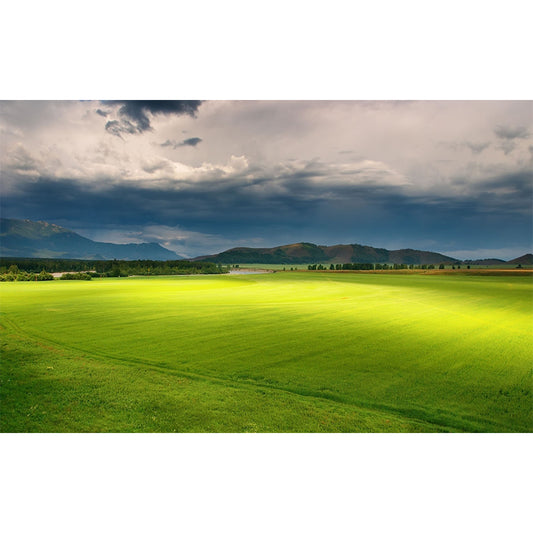 Non-Woven Waterproof Mural Modern Meadow with Moving Cloud Scenery Wall Decor in Green Clearhalo 'Wall Decor' 'Wall Mural' 1501702