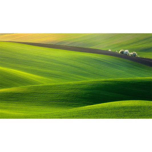 Green Hills Landscape Wall Mural Decal Washable Modern Home Gallery Wall Covering Clearhalo 'Wall Decor' 'Wall Mural' 1501707