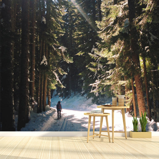 Green Modern Wallpaper Mural Full-Size Walk in Snowy Pine Forest with Sunshine Wall Art for Corridor Clearhalo 'Wall Decor' 'Wall Mural' 1501711