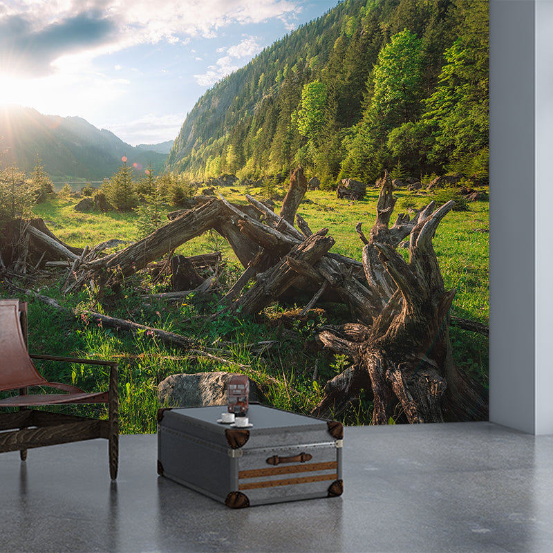 Modern Withered Tree Trunk Mural Green Sunrise Mountain Landscape Wall Art for Living Room Clearhalo 'Wall Decor' 'Wall Mural' 1501795