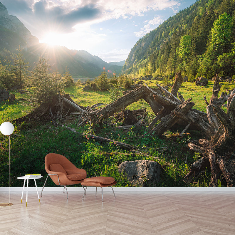 Modern Withered Tree Trunk Mural Green Sunrise Mountain Landscape Wall Art for Living Room Clearhalo 'Wall Decor' 'Wall Mural' 1501796