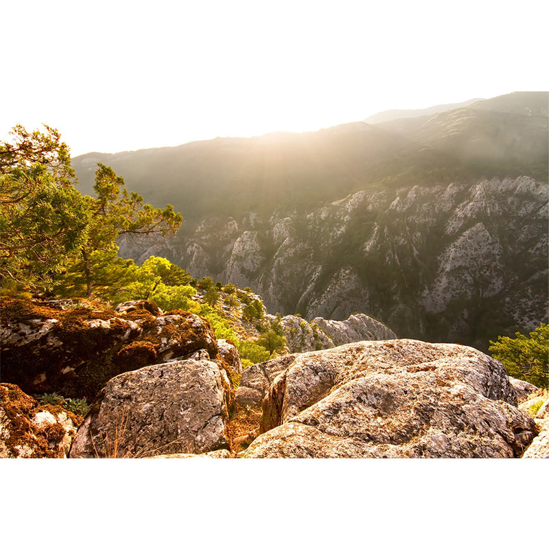 Brown Mountain Sunrise Scene Mural Waterproof Modern Style Living Room Wall Decor Clearhalo 'Wall Decor' 'Wall Mural' 1501827