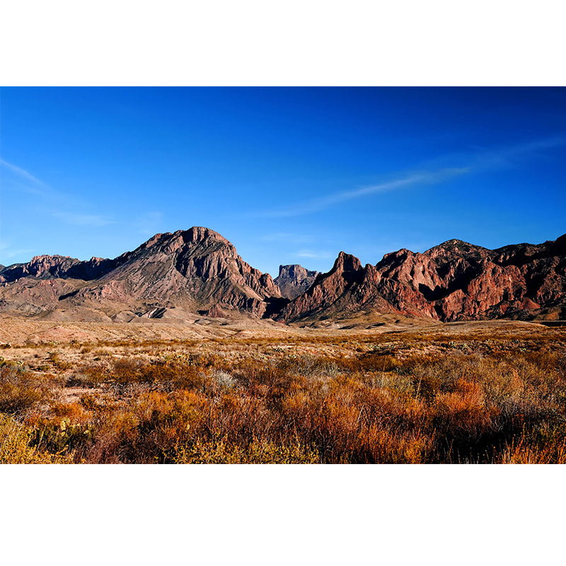 Modern Scenery Wall Mural Brown Mountain with Meadow in Fall Wall Decoration for Home Clearhalo 'Wall Decor' 'Wall Mural' 1501837