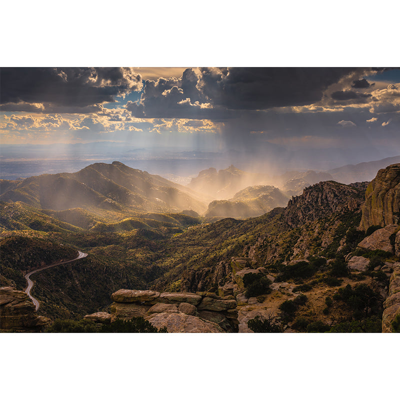 Midday Sunshine and Mountain Mural Brown Modernism Wall Art for Home, Optional Size Clearhalo 'Wall Decor' 'Wall Mural' 1501842