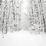 White Snowy Leafless Trees Mural Winter Scene Modern Moisture Resistant Wall Art