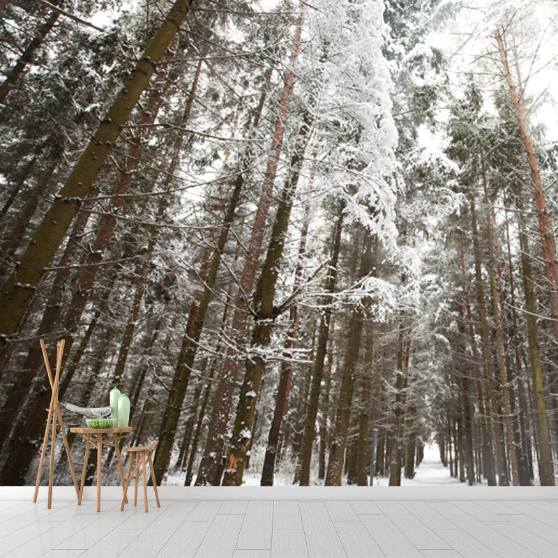 Brown Modern Art Mural Full Size Looking Up to Snow Forest Wall Covering for Living Room Clearhalo 'Wall Decor' 'Wall Mural' 1502050