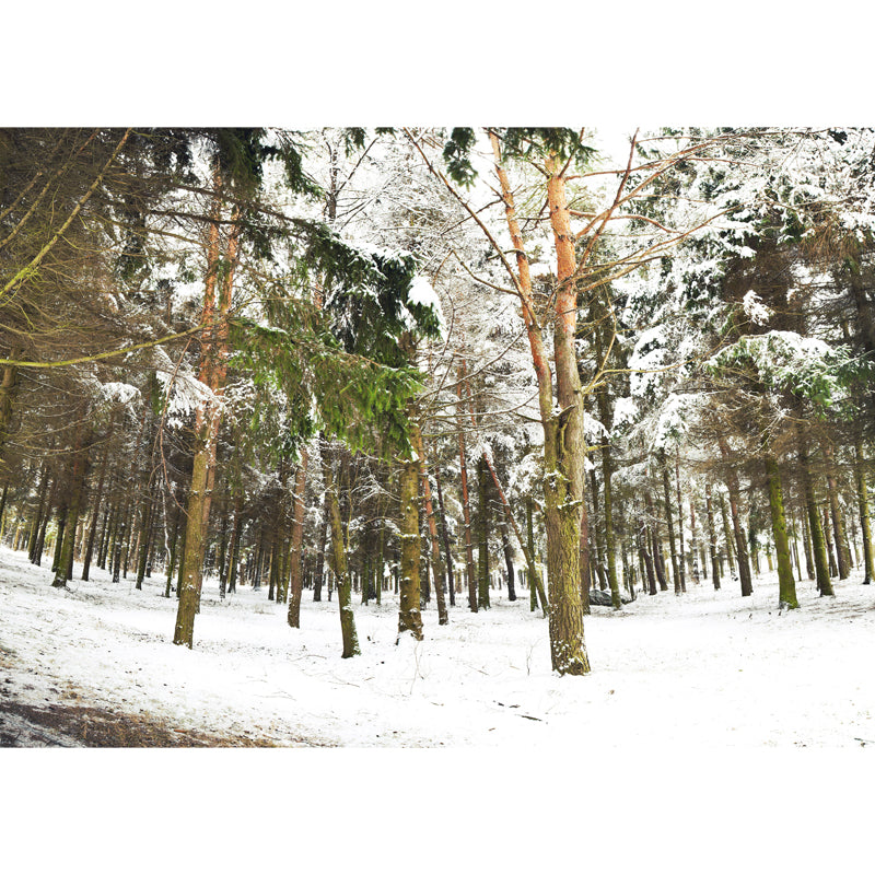 Non-Woven Washable Mural Modern Style Scenery Among the Snowy Forest Wall Decor in Green Clearhalo 'Wall Decor' 'Wall Mural' 1502057