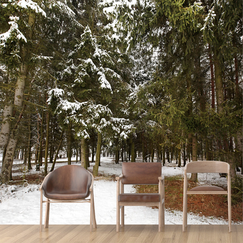 Green Winter Scenery Wall Mural Entrance to Snow Forest Modern Waterproof Wall Art for Home Green Clearhalo 'Wall Decor' 'Wall Mural' 1502064