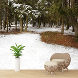 Green Winter Scenery Wall Mural Entrance to Snow Forest Modern Waterproof Wall Art for Home Clearhalo 'Wall Decor' 'Wall Mural' 1502066