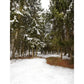 Green Winter Scenery Wall Mural Entrance to Snow Forest Modern Waterproof Wall Art for Home Clearhalo 'Wall Decor' 'Wall Mural' 1502067