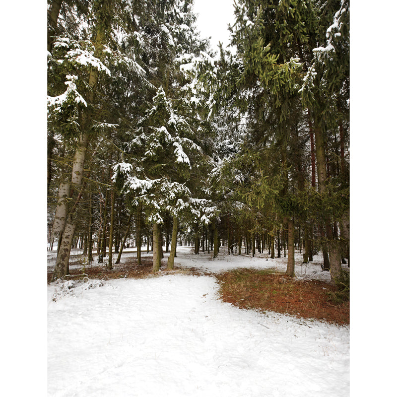 Green Winter Scenery Wall Mural Entrance to Snow Forest Modern Waterproof Wall Art for Home Clearhalo 'Wall Decor' 'Wall Mural' 1502067