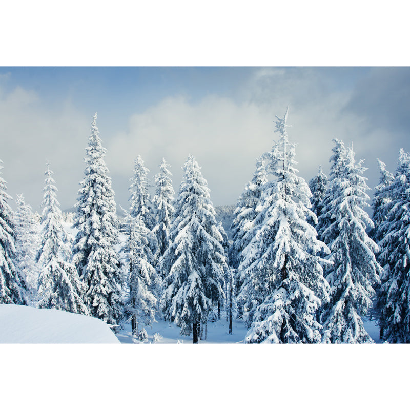 Cypress Covered with Snow Mural Modern Waterproof Bedroom Wall Art, Custom Made, White Clearhalo 'Wall Decor' 'Wall Mural' 1502082